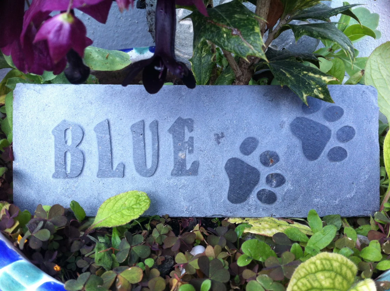 Dog Memorial Cornish Slate Plaque